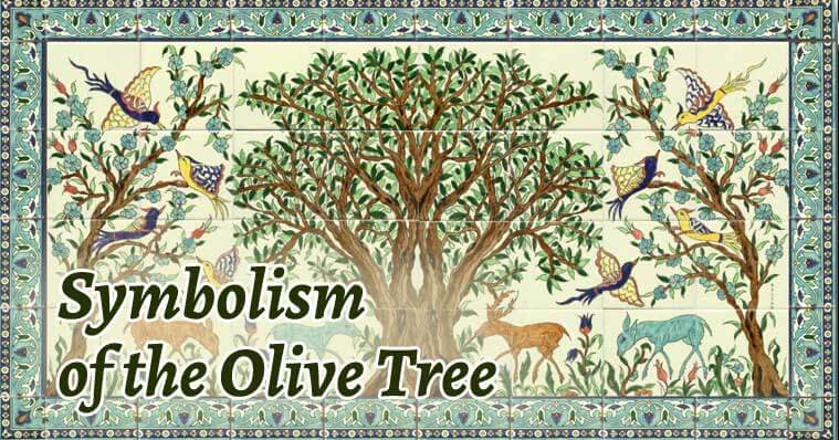 What Does the Olive Symbolize?