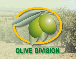 Olive Oil Council